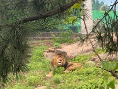 -西霞口神雕山野生动物世界