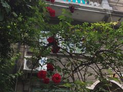 -上海鲁迅故居