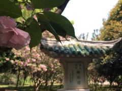 -东坡赤壁风景名胜区