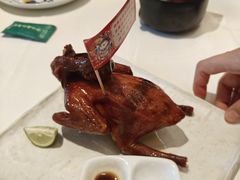 -侨美·唐荔园·40年地道粤菜