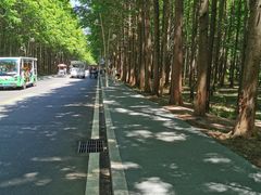 -日照海滨国家森林公园