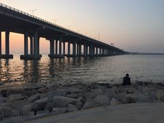 -宝安西湾红树林湿地公园