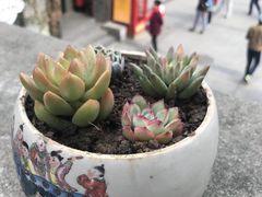 -芳满庭·江浙小馆(1912店)