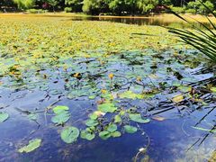 -南京维景国际大酒店(南京博物院店)