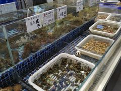 水产区-天盛海鲜烧烤大排档·本地小海鲜·牟平腿穗子(幸福店)