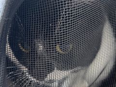 -贝康宠物医院·犬猫全科·小动物特色诊疗中心(东环路店)