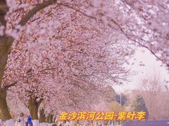 -棠湖公园