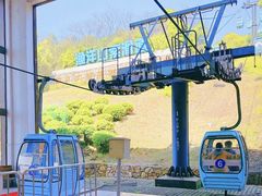 -苏州太湖西山岛开心农场