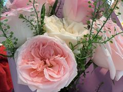 -1861意大利餐厅(来福士店)