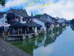 -花开海上生态园