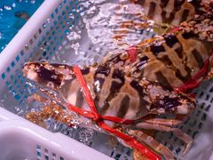 -金成潮菜博物馆(海珠湿地店)