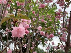-观澜湖生态运动公社
