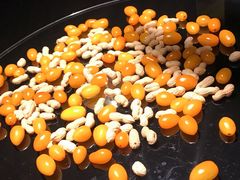 -澳珀食堂