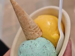 -极拉图·现制冰淇淋(大卫城店)