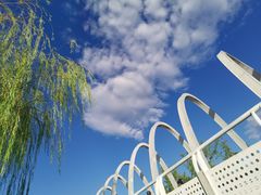 -大兴滨河森林公园