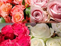 -上海交通大学(闵行校区)