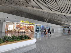 -张家界荷花国际机场航站楼-国内出发