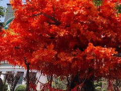 -济南方特东方神画