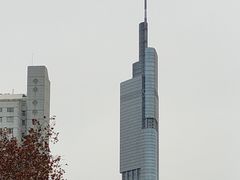-紫峰大厦