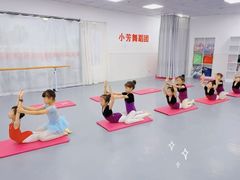 -小芳舞蹈团·少儿舞蹈·中国舞(龙江校区)