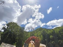 -MOJ coffee(瓯海泽雅水碓坑店)