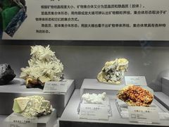 -湖南省地质博物馆