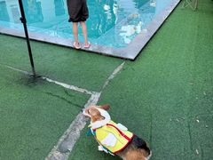 -老外街