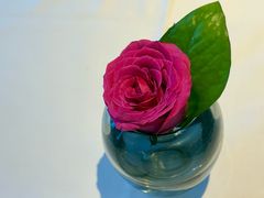 -悦景酒家(福田店)