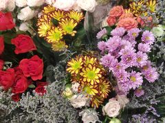 -鹿岛会员店 (龙湖三千集天街店)