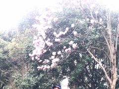-外滩悦榕庄·海怡西餐厅