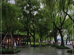 -柳浪闻莺公园