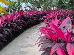 -歌斐颂巧克力小镇