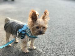 -春风十里咖啡馆