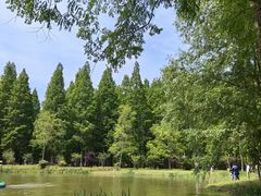 -黄海国家森林公园