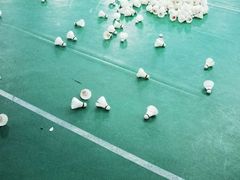 -羽跃羽毛球馆(民星路店)