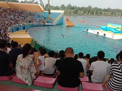 -秦皇岛乐岛海洋王国