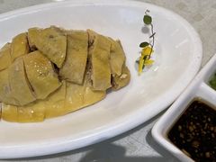 白斩鸡-顺风海鲜港(金玉兰店)