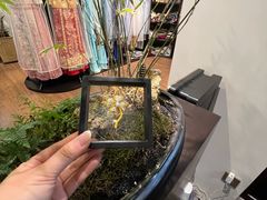 -孟礼旗袍西装礼服定制