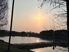 -广富林郊野公园
