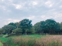 -后襄河公园
