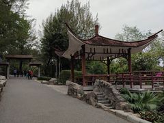 -晓港公园