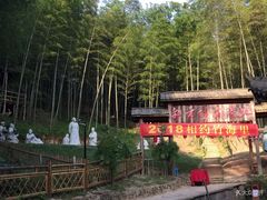 -宁波浙东大竹海景区