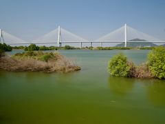 -芒洲湿地公园