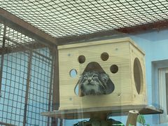 -青藏高原野生动物园