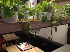 -肯德基(大桥北服务区东店)