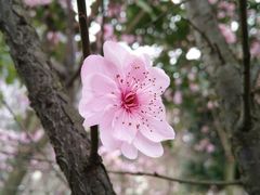 -南溪山景区