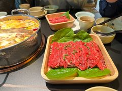-季季山•云南野生菌火锅(上海首店)