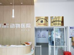 -宠颐生动物医院·猫科·心脏科(海口分院)