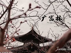 -广富林郊野公园