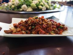 -胖大姐黄辣丁鱼庄(新津店)